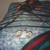 162257 - Passed Out Photos