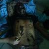 80966 - Unmoderated Funny Passed Out Drunk Shaming Pics  - 1