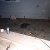 56947 - Unmoderated Funny Passed Out Drunk Shaming Pics  - 1