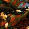 69199 - Unmoderated Funny Passed Out Drunk Shaming Pics  - 1