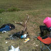 95861 - Passed Out Photos