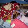 3567 - Unmoderated Funny Passed Out Drunk Shaming Pics  - 17