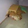 7801 - Unmoderated Funny Passed Out Drunk Shaming Pics  - 1