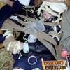 5019 - Passed Out Photos