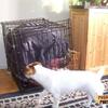 Passedout-photos-1219293884-96510