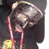 913 - Passed Out Photos