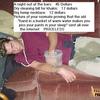 Passedout-photos-1219293892-91420