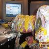Passedout-photos-1219293892-22802